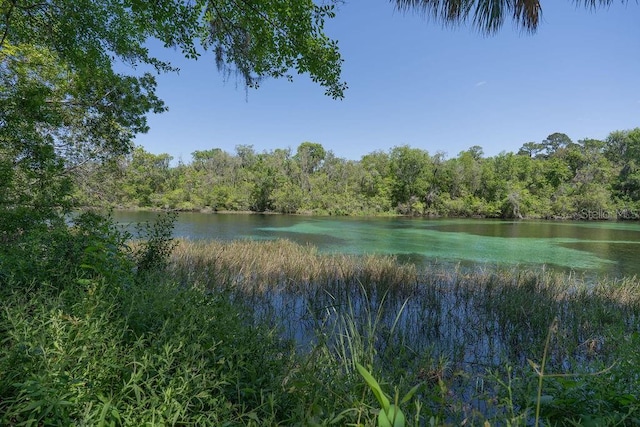 property view of water with a view of trees