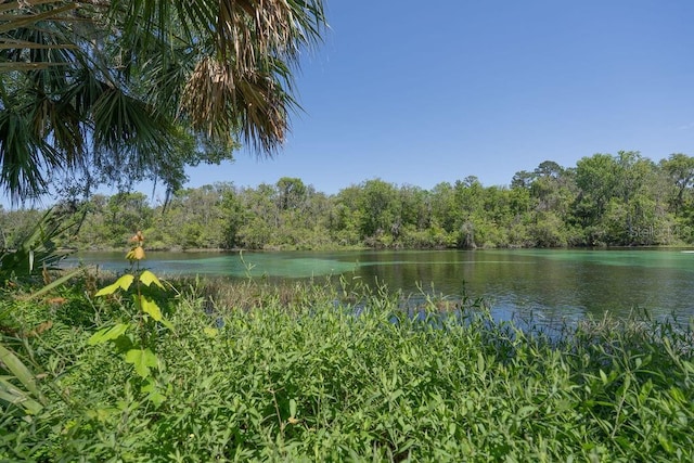 view of water feature with a wooded view