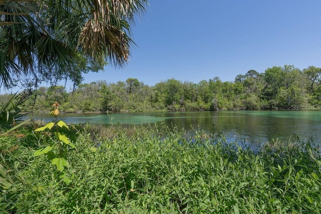 property view of water with a view of trees