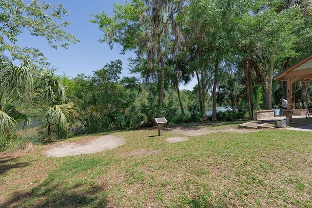 view of yard featuring a patio