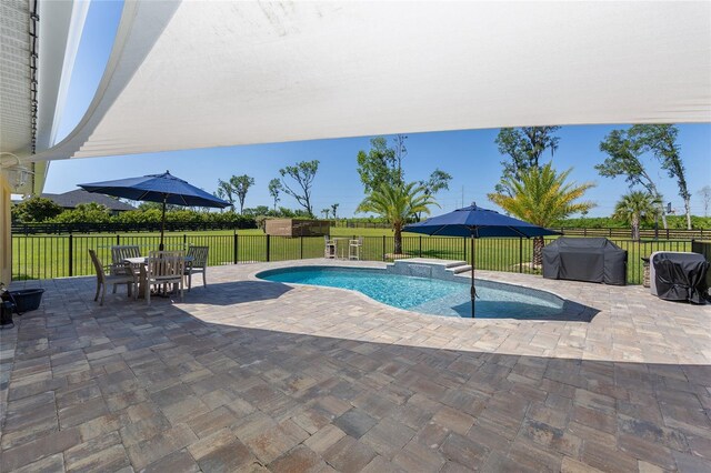 9950 NW 11th Ter, Ocala, FL 34475 - view of pool with a patio area, a grill, and a fenced backyard