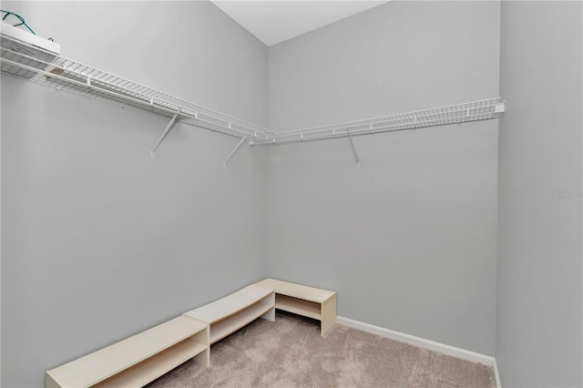 walk in closet with carpet flooring