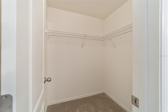 9896 SW 56th Ct, Ocala, FL 34476 - walk in closet with carpet floors