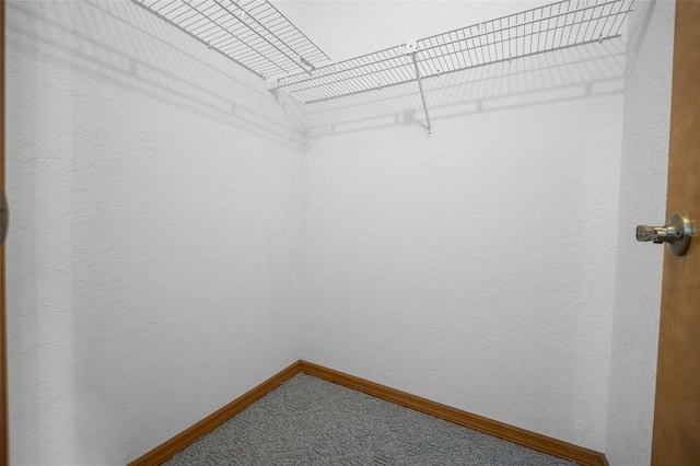 walk in closet with carpet floors