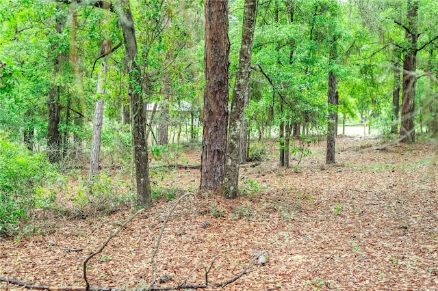 7407 SW 202nd Ct, Dunnellon, FL 34431 - view of woods