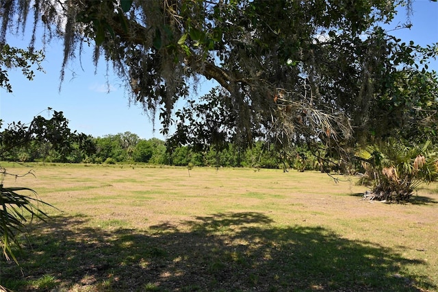 163AND167 Golden Oaks Rd, Zolfo Springs, FL 33890
