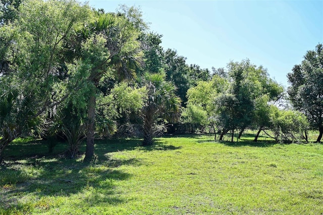 163AND167 Golden Oaks Rd, Zolfo Springs, FL 33890