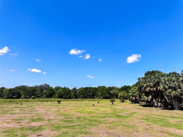 163AND167 Golden Oaks Rd, Zolfo Springs, FL 33890