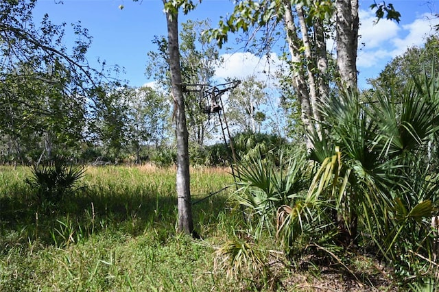 163AND167 Golden Oaks Rd, Zolfo Springs, FL 33890