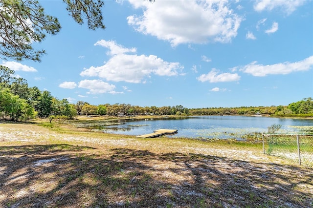 150 Clearwater Lake Rd, Hawthorne, FL 32640 - photo 18