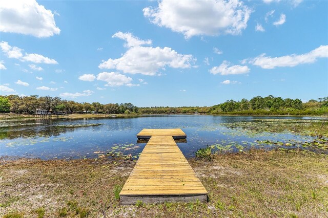150 Clearwater Lake Rd, Hawthorne, FL 32640 - photo 19