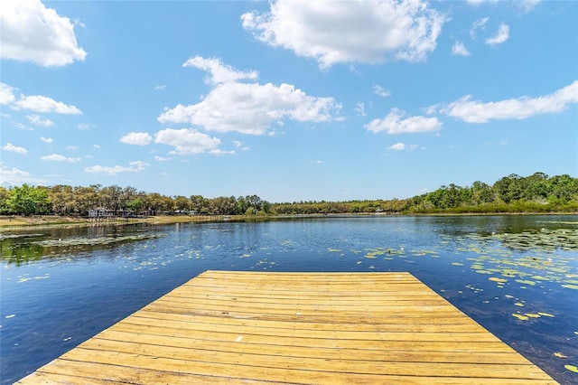 150 Clearwater Lake Rd, Hawthorne, FL 32640 - photo 20