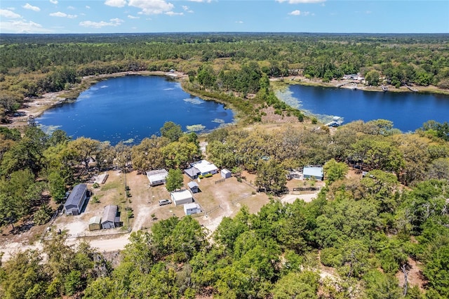 150 Clearwater Lake Rd, Hawthorne, FL 32640 - photo 8