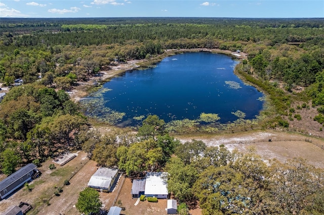 150 Clearwater Lake Rd, Hawthorne, FL 32640 - photo 6
