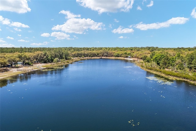 150 Clearwater Lake Rd, Hawthorne, FL 32640 - photo 22