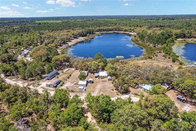 150 Clearwater Lake Rd, Hawthorne, FL 32640 - photo 7