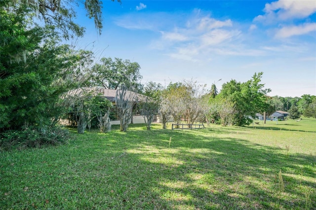 4401 E Windmill Dr, Inverness, FL 34453 - view of yard