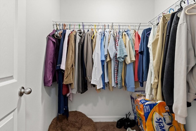 view of walk in closet