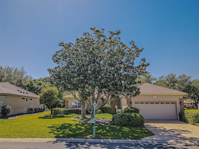 9325 SE 132nd Pl, Summerfield, FL 34491 - photo 1