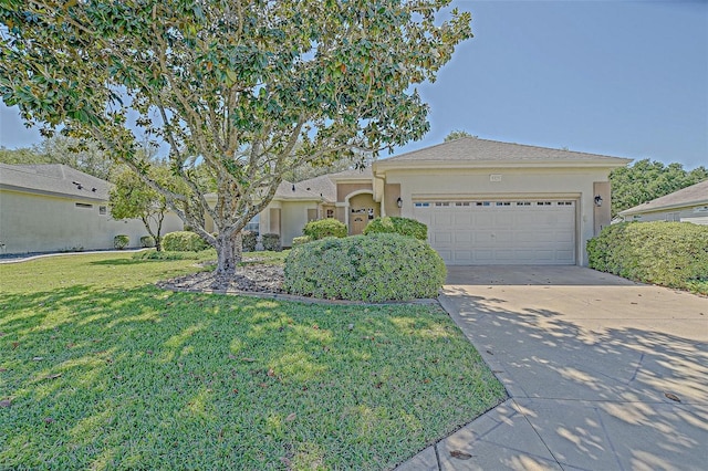 9325 SE 132nd Pl, Summerfield, FL 34491 - photo 9