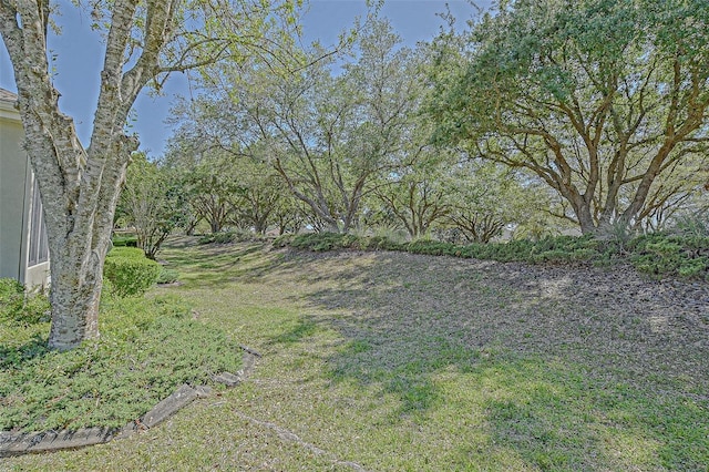 9325 SE 132nd Pl, Summerfield, FL 34491 - photo 12