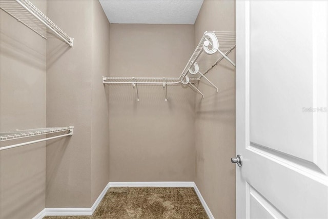 3918 NW 46th Ter, Ocala, FL 34482 - spacious closet featuring carpet flooring