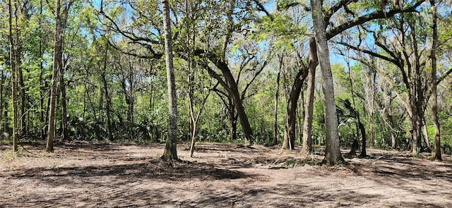22AC NW 193rd St, Micanopy, FL 32667