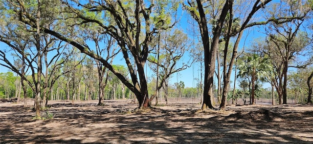 22AC NW 193rd St, Micanopy, FL 32667