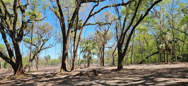 22AC NW 193rd St, Micanopy, FL 32667