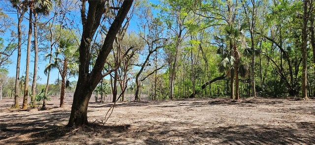 22AC NW 193rd St, Micanopy, FL 32667