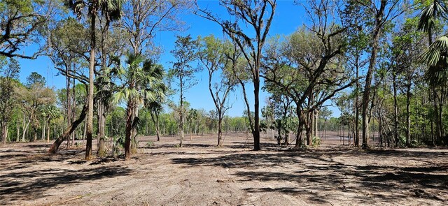 22AC NW 193rd St, Micanopy, FL 32667