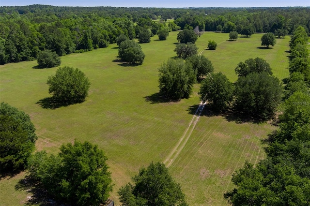 11420 NW 110th Ave, Reddick, FL 32686 - drone / aerial view