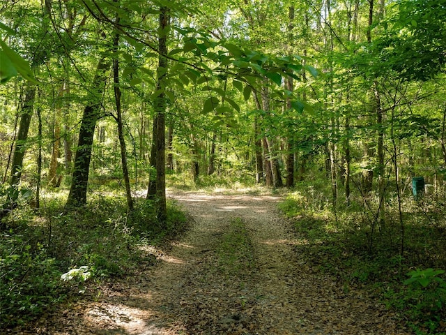 11420 NW 110th Ave, Reddick, FL 32686 - view of street featuring a view of trees