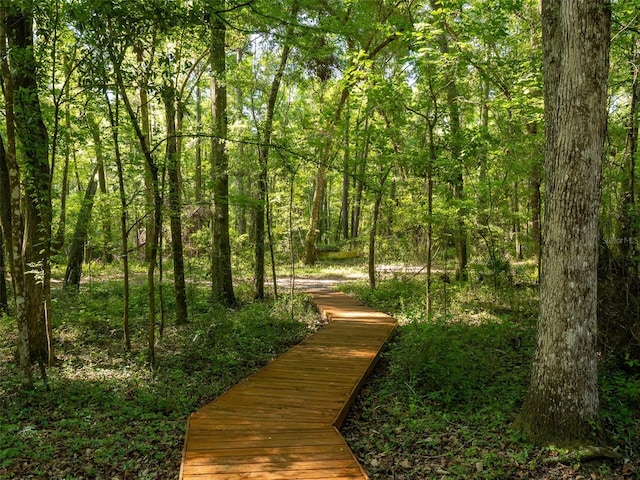 11420 NW 110th Ave, Reddick, FL 32686 - view of property's community featuring a view of trees