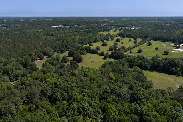 11420 NW 110th Ave, Reddick, FL 32686 - drone / aerial view featuring a view of trees