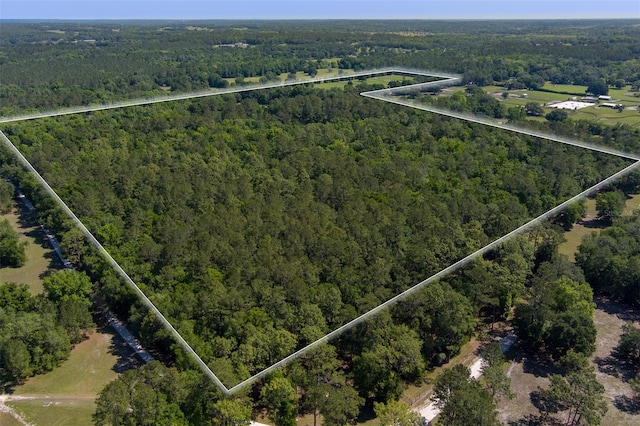 11420 NW 110th Ave, Reddick, FL 32686 - bird's eye view featuring a view of trees