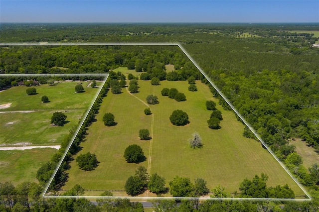 11420 NW 110th Ave, Reddick, FL 32686 - birds eye view of property