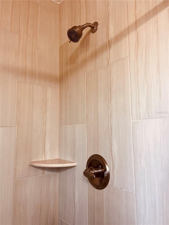 details featuring tiled shower