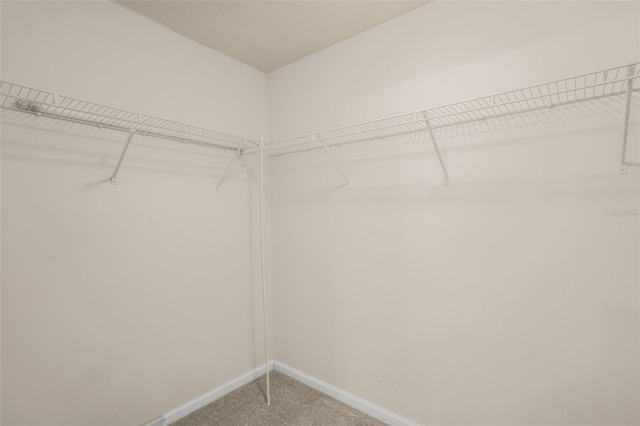 11145 N Easter Ter, Citrus Springs, FL 34434 - photo 20