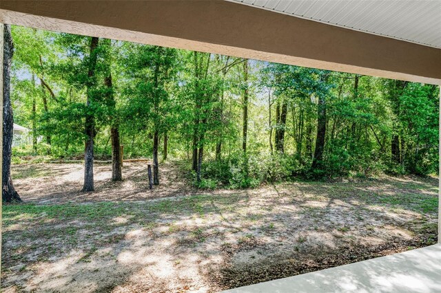 11145 N Easter Ter, Citrus Springs, FL 34434 - photo 29