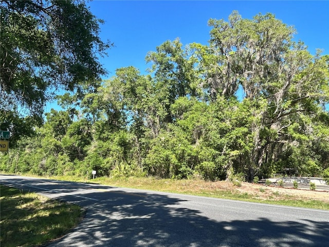 9319 S Florida Ave, Floral City, FL 34436 - photo 1