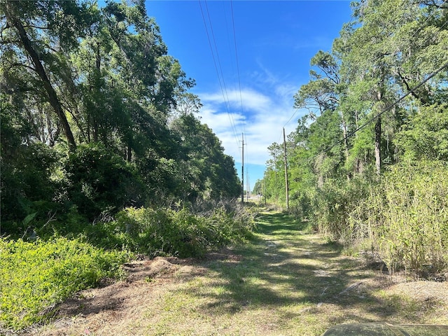 9319 S Florida Ave, Floral City, FL 34436 - photo 2
