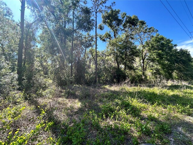 9319 S Florida Ave, Floral City, FL 34436 - photo 3