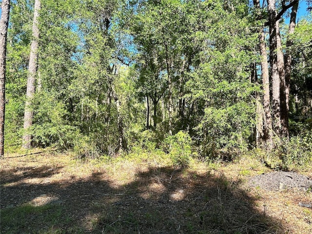 9319 S Florida Ave, Floral City, FL 34436 - photo 4