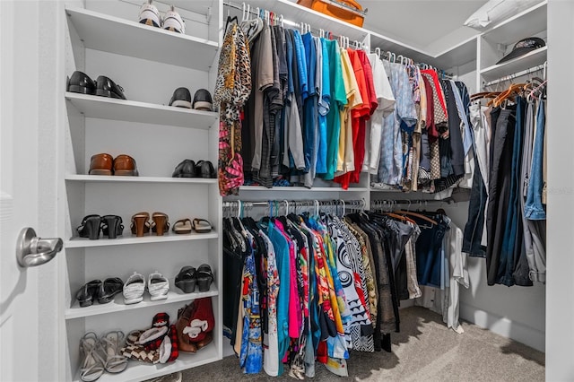 7886 SW 103rd Loop, Ocala, FL 34476 - spacious closet with carpet floors