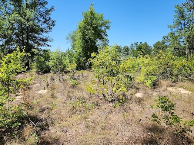 LOT5 SW 64th Ln, Ocala, FL 34481
