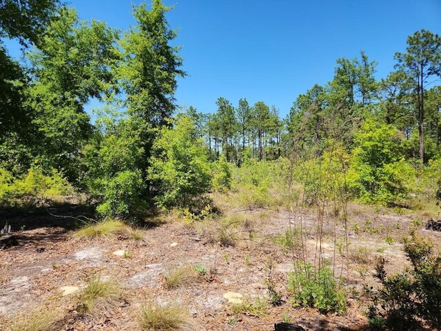 LOT5 SW 64th Ln, Ocala, FL 34481