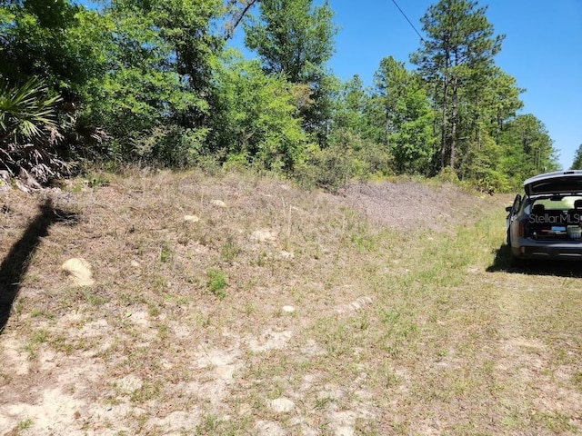 LOT5 SW 64th Ln, Ocala, FL 34481 - photo 9