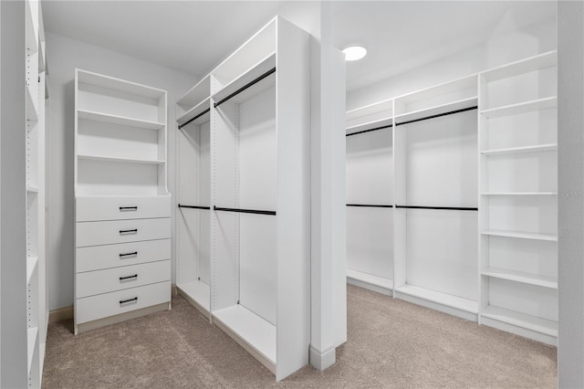 1784 NW 85th Loop, Ocala, FL 34475 - walk in closet featuring light carpet