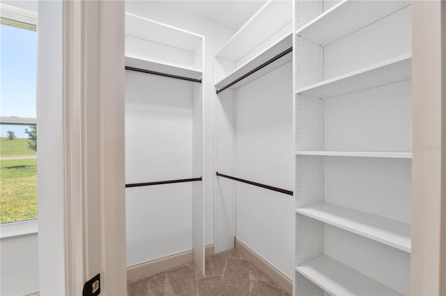 1784 NW 85th Loop, Ocala, FL 34475 - walk in closet featuring carpet